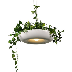 Plante moderne pendentif lumières bricolage jardin <span class=keywords><strong>Pot</strong></span> de fleur suspension lampe nordique salle à manger bureau Art décor à la maison luminaires - Product Image 1