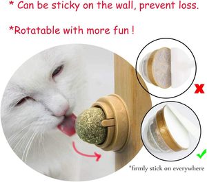 Bolas Giratorias Clásicas de Bambú con Hierba Gatera - Juguete para Gatitos que Ayuda a Eliminar las Bolas de Pelo y a Limpiar los Dientes - Product Image 3