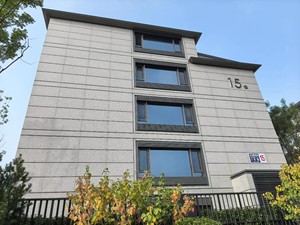 <span class=keywords><strong>Granito</strong></span> <span class=keywords><strong>Ojo</strong></span> de Águila Azul, Piedra Natural con Base Clara y Motas Azules, Encimeras de Cocina Modernas y Ecológicas, Decoración Exterior/Paisajismo - Product Image 3