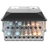 Incubateur automatique pour œufs de poulet, de canard, d'autruche et de dinde, neuf et pas cher, capacité de 36 à 192 œufs, taux d'éclosion de 98%