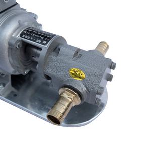 WCB портативный шестеренный масляный насос небольшой насос для перекачки продуктов из нержавеющей стали 304/316 для сока - Product Image 5