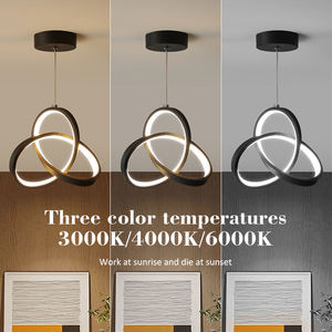 Lampadario da Corridoio Minimalista di Fabbrica OEM a Altezza Regolabile <span class=keywords><strong>per</strong></span> Ristorante Ingresso Piccoli <span class=keywords><strong>Balconi</strong></span> Corridoi Camere da Letto - Product Image 4