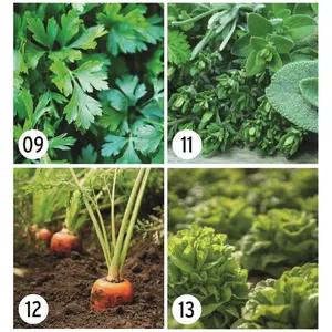 Carte de visite en forme de grain de semence, merchandising durable - Product Image 3