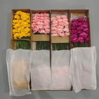 Fleurs artificielles de carnations au toucher réel, haute qualité, multicolores, pour arrangements floraux de mariage, décoration intérieure, fleurs en gros
