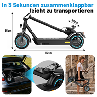 Trottinette Électrique Pliable 250W, Pneu Anti-Crevaison, ABE, EN17128, Stock UE, Service OEM pour les Acheteurs en Europe