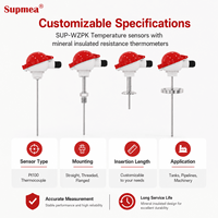 Anti-corrosion 316L Sheath Temperature Sensor for Chemical Liquid and Corrosive Medium Temperature Detection