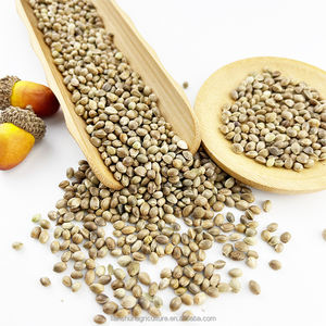 Fabriek Groothandel Chinese Nieuwe Gewas Groothandel Biologisch Hennepzaad 3.5Mm Hennepzaad - Product Image 3