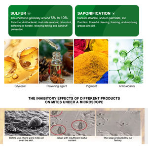 Jabón <span class=keywords><strong>de</strong></span> <span class=keywords><strong>Azufre</strong></span> en Oferta, Reduce la Grasa <span class=keywords><strong>Facial</strong></span> y Fórmula <span class=keywords><strong>de</strong></span> Limpieza Suave para la Limpieza <span class=keywords><strong>Facial</strong></span> Diaria y Protección en Casa - Product Image 4