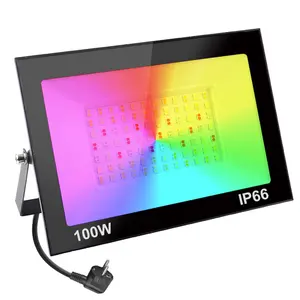 Holofote LED de 10000 lúmenes 100W Melhor preço de fábrica IP66 Iluminação externa à prova d'água para Distribuidor e Revendedor