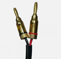 Câble de haut-parleur pour installation murale 16 AWG CL2, câble en cuivre de haute pureté pour LED
