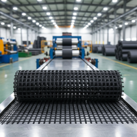 Geogrid de Fibra de Vidrio Recubierta de Betún de Alta Tenacidad, Marca Born, Resistencia a la Tracción de 100KN, Garantía de 3 Años para Carreteras Asfaltadas