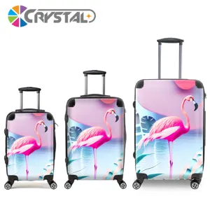 Transparent Clear 20/24/28 Inch Customized Design ABS+PC Luggage Carry-On Travel Trolley Suitcase Set