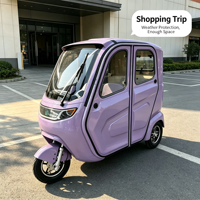 Tricycle électrique familial compact à 3 roues, cabine scellée, nouvelle énergie, 3 places pour adultes, pour les trajets quotidiens