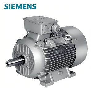 มอเตอร์เหนี่ยวนำไฟฟ้ากระแสสลับ 3 เฟส Innomotics 4kw 11kw 15hp 2/4/6 โพล 220-380v50hz60hz ความเร็ว 1000 รอบต่อนาที - Product Image 2