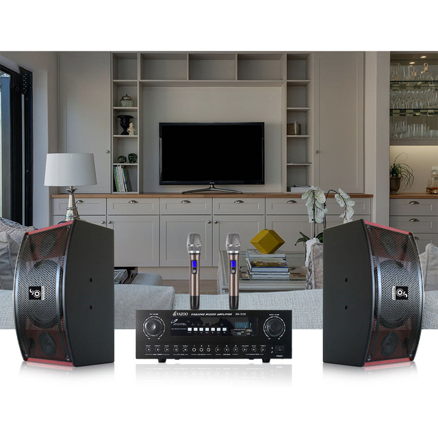 10 Inch Passive Speakers & Amplifier 150W Professional Karaoke Audio Box Ktv Speaker for Wedding Meeting Room Home Karaoke Set