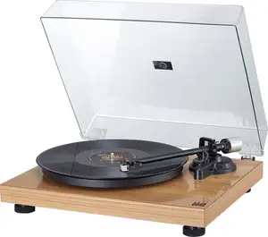 Vinyl Hifi Plattenspieler Musiker Stereo Plattenspieler Phonograph Home Audio