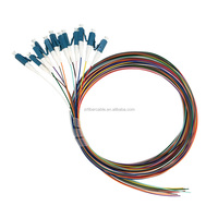 0.9mm 12 Couleur/noyau Ruban Patch Cordon Sc Upc Apc Monomode Lc Fc St E2000 G652D Sm Mm Om2 Om3 Om4 12core Fibre Optique Pigtail