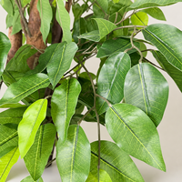 Ensemble de 2 arbres artificiels en ficus de 6,2 pieds de haut avec des troncs en bois véritable et des branches pliables - Décoration d'intérieur réaliste