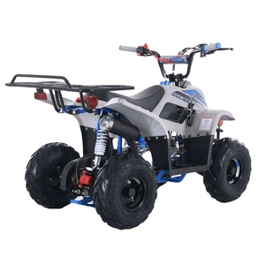 Quadricycle Tao Motor, nouveau design, ATV pas cher pour enfants, 110cc, à vendre, <span class=keywords><strong>buggy</strong></span> de plage - Product Image 5