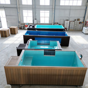 Piscina contenedor con terraza, piscina transparente, piscina de 20 pies, piscina para perros, piscina de hielo, piscina con columpio - Product Image 3