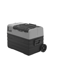 Congélateur portable Alpicool 12V alimenté par énergie solaire, mini-réfrigérateur électrique en plastique avec compresseur pour camping-car, hôtel, usage extérieur, OEM/ODM