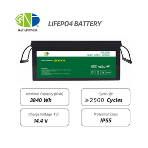 100AH 150ah 280ah 200ah แบตเตอรี่12V สำหรับระบบเก็บพลังงานแสงอาทิตย์150ah 100AH DTP802530 200ah 280ah แบตเตอรี่ Lifepo4 12V F - Product Image 2