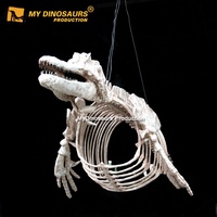 Z MY DINO Musée Exposition personnalisée Squelette d'animal artificiel Squelette d'animal marin Fossile à vendre