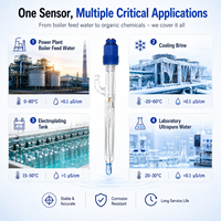 Électrode pH en ligne pour analyseur d'eau ultrapure, capteur KCl pour milieux à faible conductivité, raccords de process, système de nettoyage, OEM ODM