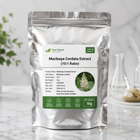 Poudre d'extrait de racine de Macleaya Cordata naturelle à base de plantes, rapport 10:1, poudre fine pure (80-120 Mesh), qualité alimentaire en vrac