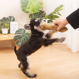 Bền con chó đồ chơi hung hăng nhai con chó con nhai Đồ chơi nhồi bông gối vật nuôi động vật Xương đồ chơi sang trọng - Product Image 6