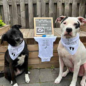 Pañuelo Triangular de Algodón Sólido Premium Ecológico, Color Personalizado S/M/L, Diseño Personalizado, Regalo de Cumpleaños/Fiesta - Product Image 2