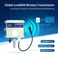 Détecteur de fuite de gaz CO électrochimique LoRaWAN avec seuil intelligent et longue portée pour la sécurité industrielle