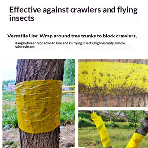 Trampa Adhesiva de Doble Cara de 15cm*100m, Fuerte Adhesión, para Insectos Voladores en Huertos e Invernaderos - Product Image 4