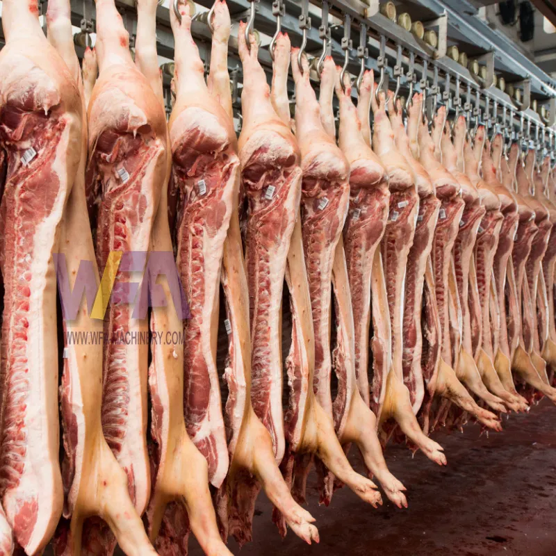 Alta Qualidade Porco Slaughter Line Machine Para Produção Completa Porco Porco Abattoir