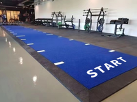 Fabrikverkauf: Hochwertiger, langlebiger 20mm PP-Kunstrasen für den Innenbereich, individuell anpassbare Teppichmatten für Fitness-Studios
