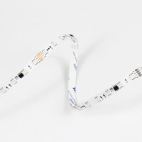 Programmable adressable WS2811 WS2812 SK6812 DC24V 12V 60 Leds/m 14.4 W/m 10MM 5050 RGB Strip Light Magic Color LED Strip