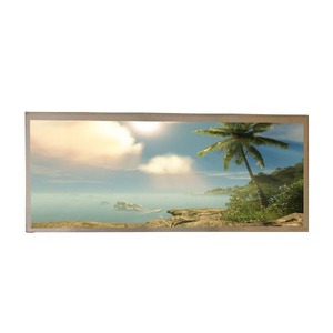 Nueva Pantalla LCD Avanzada C123VAN01.2 de 12.3 Pulgadas, Pantalla TFT LCD de 1440*540 - Product Image 1
