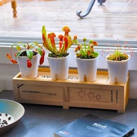 Pot de fleurs rond multi-tailles en plastique à arrosage automatique pour décoration de chambre d'enfant