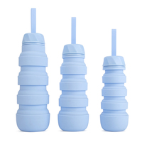 Vente chaude 350ml 550ml 750ml Bouteille d'eau en silicone pliable Bouteille d'eau pliable en silicone portable