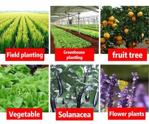 <span class=keywords><strong>Bacillus</strong></span> <span class=keywords><strong>Laterosporus</strong></span> para cultivo agrícola/aditivos para piensos para acuicultura, a prueba de agua - Product Image 2