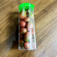Emballage en tube PVC imprimé avec logo personnalisé avec trous d'aération Conteneur réutilisable pour le stockage des tomates cerises pour l'emballage des fruits et légumes