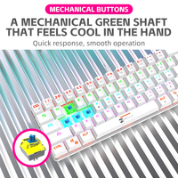 Custom 61 Keys Wired Mechanical Keyboard With Type-c Interface USB RGB Computer Mechanical Switch Backlit Gaming Keyboard