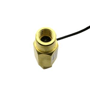 Interruptor de Flujo de Agua de Latón de 2 Puntos con Rosca Interna, Normalmente Abierto, Equipo de Ingeniería con Señal de Salida de Agua Caliente - Product Image 2