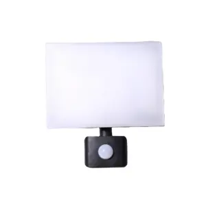 LED Lighting Led Floodlight OUTDOOR WATERPROOF ip65 EMC LVD ERP2.0 CE ROHS 30 Watts with PC Cover PIR Sensor