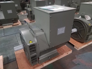 Alternateur à Vendre : Têtes de Générateur Sans Balais 32kW, 40kW, 50kW, 58kW, 64kW, 75kW, 100kW, 112kW, 128kW, 150kW - Product Image 3