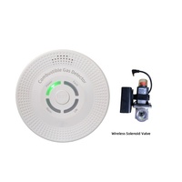 Detector de Gas Metano Montado en Pared con Alarma Sonora y Luminosa, Detector de Fugas de Gas Combustible CH4 a Batería