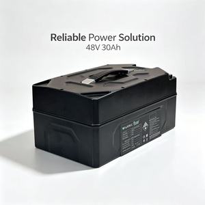 Factory-direct Waterproof 48V 30Ah Lithium Iron Phosphate Battery Pack, Suitable for 2-wheel/3-wheel Electric Vehicles - Product Image 1