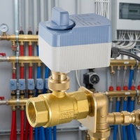 Vanne à boisseau sphérique électrique en laiton YAOYANG 2 voies avec commande manuelle, couple élevé 12 N.m, moteur AC110-220V, étanche IP65, certifiée CE