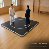 Tapis de combat robuste en PVC 2026 - Tapis de lutte MMA pliable, marqueur d'impact, mousse multicouche, 4x4m, anthracite