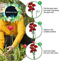Support de plante à tige unique Supports d'anneaux en fil métallique Support en métal vert pour tomates orchidées Amaryllis Lily Rose utilisées avec de l'herbe